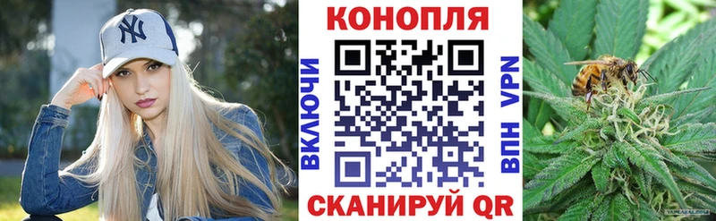 Бошки Шишки сатива  где найти наркотики  Сысерть 